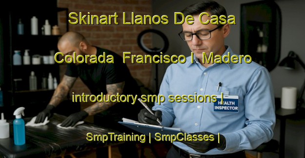 Skinart Llanos De Casa Colorada  Francisco I  Madero introductory smp sessions | SmpTraining | SmpClasses | SkinartTraining-Mexico